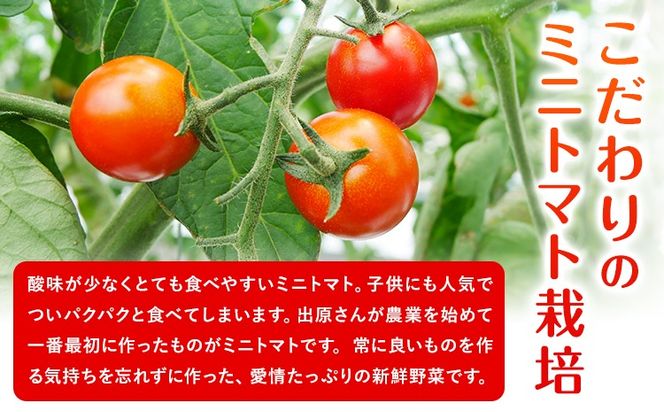 ミニトマト 約2kg 出原農園 《1月上旬-5月末頃出荷》 岡山県 矢掛町 野菜 ミニトマト もぎたて 新鮮---osy_iktmt_af15_24_14000_2---