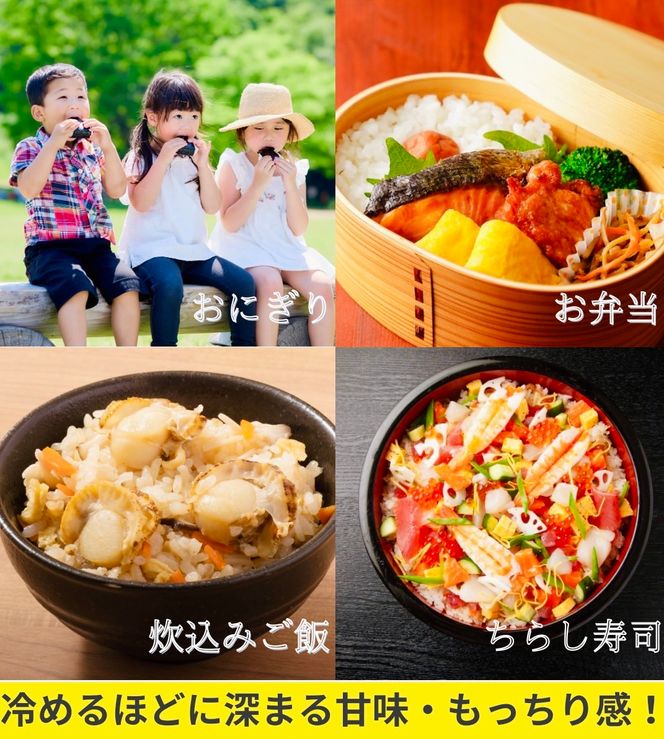令和8年産 新米 キヌヒカリ 10kg (精米) 明田のお米 精米 お米 新米 南丹市 京都 新米26