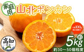 ぽんかん 5kg(約30～50個程度) わけあり 山北ポンカン - 果物 フルーツ 柑橘類 ぽんかん ミカン 蜜柑 訳アリ わけあり 生産者応援 甘い おいしい 美味しい 山北みらい yk-0081