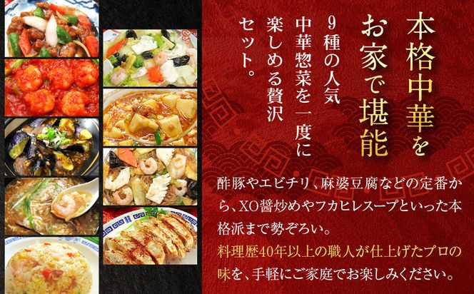 【チャイナノーヴァ】中華料理９種９品セット［ 京都 中華料理 お惣菜 人気 おすすめ おいしい 簡単 お手軽 本格中華 シェフ 台湾出身 お取り寄せ 送料無料 ］ 261009_B-DR18