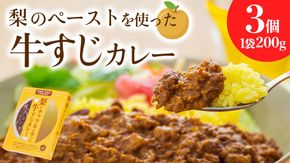 梨 の チャツネ（ペースト） を使った 牛すじ カレー 3個 セット レトルト 常温保存 備蓄 非常食 牛すじカレー コク 旨味 中辛 オリジナル グッズ 筑西市 限定 梨 なしカレー [DS002ci]