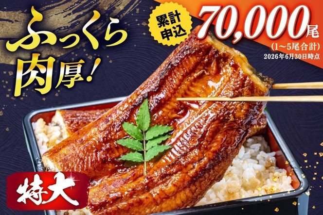 うなぎ 訳あり 蒲焼 特大 肉厚 5尾 計約1.85kg 小分け タレ 山椒付き [大黒物産 福岡県 宇美町 um40bak830010] 不揃い 規格外 鰻 ウナギ unagi うなぎ蒲焼 鰻蒲焼き 蒲焼き かば焼き 真空パック 個包装 冷凍