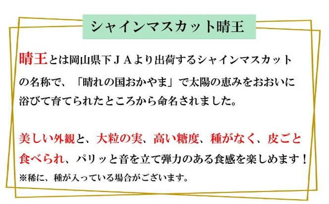 ぶどう 2026年 先行予約 シャイン マスカット 晴王 約2kg 3～6房 種無し ブドウ 葡萄 岡山県産 国産 フルーツ 果物 ギフト デザート 果実 美しい 大粒 高糖度 皮ごと パリッ 弾力 食感
