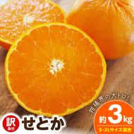 【2027年先行予約】《訳あり 家庭用》せとか 約3kg（S～2Lサイズ混合）_EQ6001