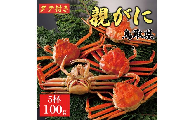 y挧khz1065.y2025N11z挧Y  e pyZRKjzi䥁j100g 5t 313726_BS067