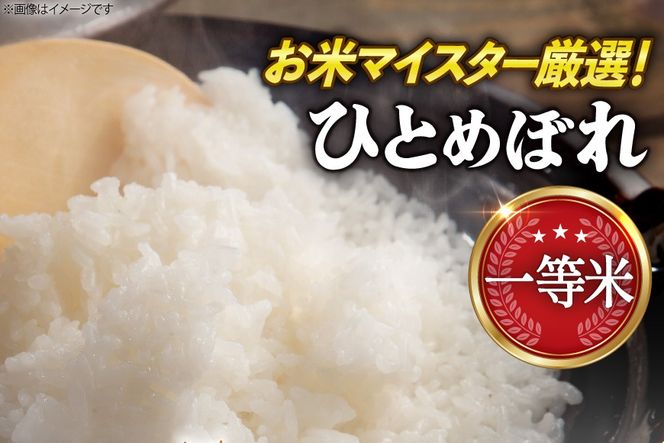 米 生活応援米 宮城県産 ひとめぼれ 5kg [菊武商店 宮城県 気仙沼市 20566180] お米 こめ コメ 白米 精米 ご飯 ごはん