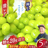 【2027年発送分 先行予約】激レア【糖度20度以上】極上シャインマスカット ４kg以上  フルーツ 山梨県産 果物 シャイン マスカット ぶどう ブドウ 大粒 種なし
