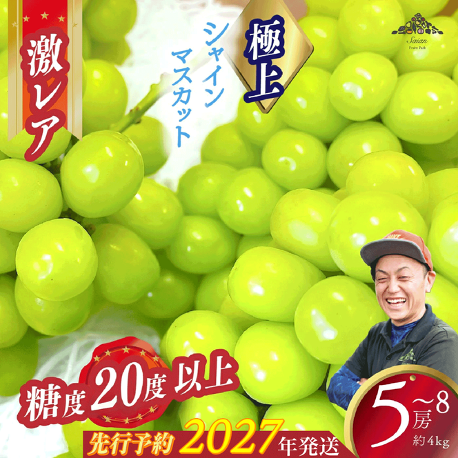 【2027年発送分 先行予約】激レア【糖度20度以上】極上シャインマスカット ４kg以上  フルーツ 山梨県産 果物 シャイン マスカット ぶどう ブドウ 大粒 種なし