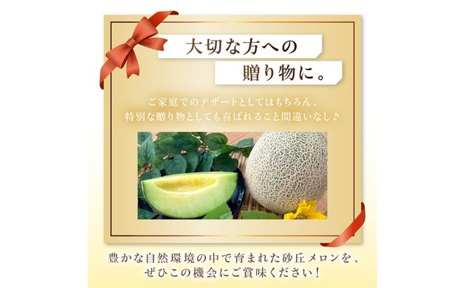 【ふるプレ限定品】【特別寄附額】【先行予約】京丹後・俵野産 砂丘メロン 2L以上 1玉（2026年7月下旬～発送）　IU00001P