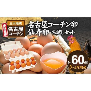 【3ヶ月定期便】名古屋コーチン卵・仙寿卵お試しセット（各10個入り）×3回（計各30個） [006K02-T]