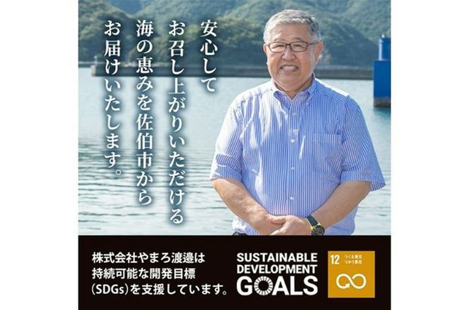 <訳あり>干物お楽しみBOX (25尾以上：隔月3回) 定期便 簡単 干物 たい タイ あじ アジ かます カマス さば サバ いわし イワシ 丸干し 開き みりん干し 魚 海鮮 冷凍 詰め合わせ セット【AQ96】【(株)やまろ渡邉】