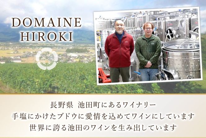 ワイン 白ワイン ソーヴィニヨン・ブラン メルキュール 750ml 1本 [ヴィニョブル安曇野 長野県 池田町 48110839] 白ワイン 白 わいん お酒 酒 Wine ソーヴィニヨン 辛口 長野 長野県産