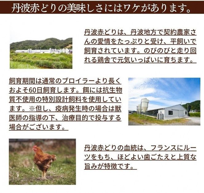 訳あり 丹波 赤どり 手羽元 2kg×2パック 総量約4kg＜京都亀岡丹波山本＞業務用 特別返礼品 鶏肉 小分け 不揃い リーフレット付