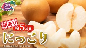 ＜ 訳あり ＞ にっこり 約5kg 【2026年10月より発送開始】（茨城県共通返礼品 [梨]：大子町産） ご家庭用 フルーツ なし ナシ 和梨 梨 わけあり 果実 旬のフルーツ お取り寄せ くだもの 果物 みずみずしい