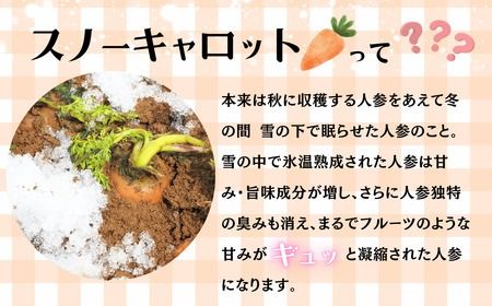 信州なべくら高原・そのまんまスノーキャロットジュース(瓶) 200ｍｌ×20本（Am-003）