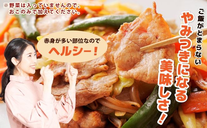 099H3374 国産 豚スライス(豚もも) タレ漬 1kg(250g×4パック) 小分け 時短 焼くだけ 簡単