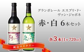 9月30日受付終了 ワイン グランポレール エスプリ ド ヴァン ジャポネ 絢 -AYA-、泉 -SEN- 赤・白 6本セット（各1本 720ml）赤ワイン 白ワイン サッポロビール 岡山ワイナリー ワインセット 国産ワイン 家飲み 