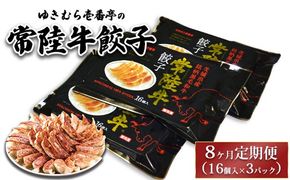 【8ヶ月定期便】ゆきむら壱番亭の常陸牛餃子3パック(48個入り) ※離島への配送不可