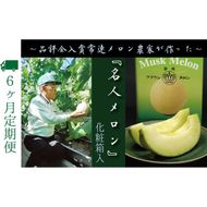 【6ヶ月定期便】数量限定！『クラウンメロン ”名人メロン” 1玉 』 メロン 人気 厳選 ギフト 贈り物 デザート グルメ フルーツ 果物 袋井市 果物類 メロン青肉 