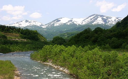 FYN6-600 【月山酒造】銀嶺月山 純米酒 1800ml 15度 山形県産米使用！ 日本酒 酒 SAKE さけ アルコール 1.8L 一升瓶 国産 米 贈答 贈り物 ギフト プレゼント 記念日