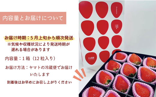 【予約受付中！5月上旬頃発送予定！】＜けんたろういちご 12粒＞湧水で育った北海道の高級いちご 北海道 北海道産 道産 いちご 苺 イチゴ けんたろう 贈物 贈り物 プレゼント