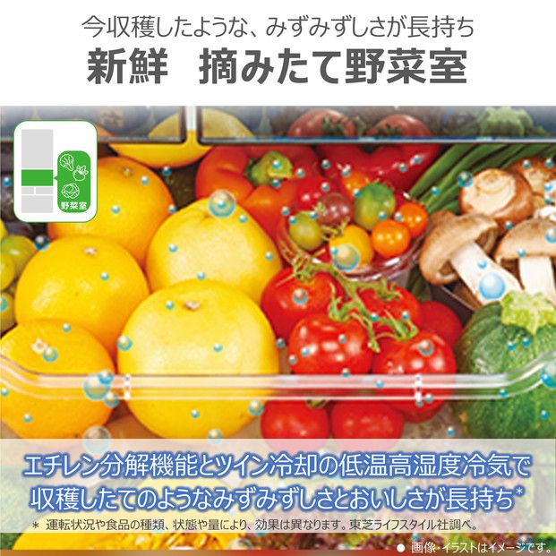 東芝 冷蔵庫 【標準設置費込み】 601L 6ドア 両開き 冷凍冷蔵庫 GR-Y600FK(EW) 141305_KV209