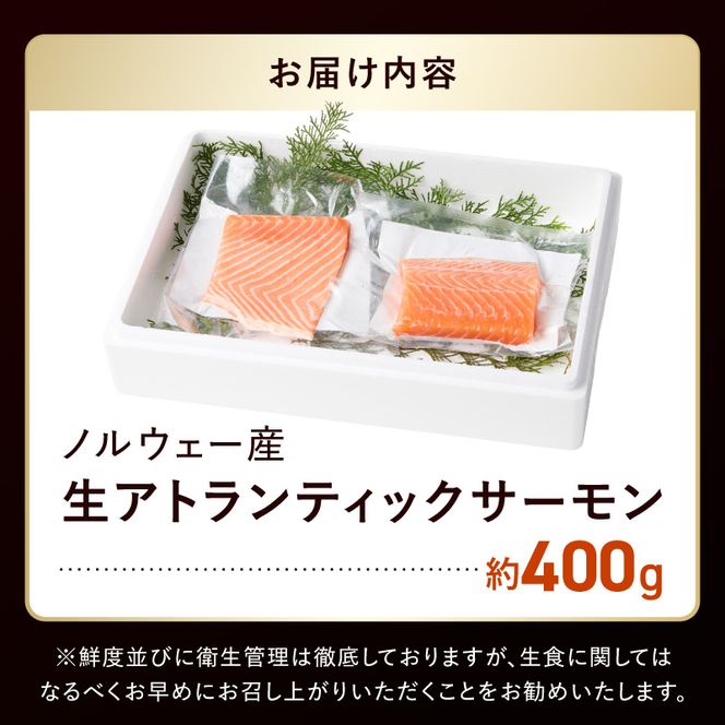 いっちゃんええ【ノンフローズン】生サーモン 全て手作業 約400g_FJ1000
