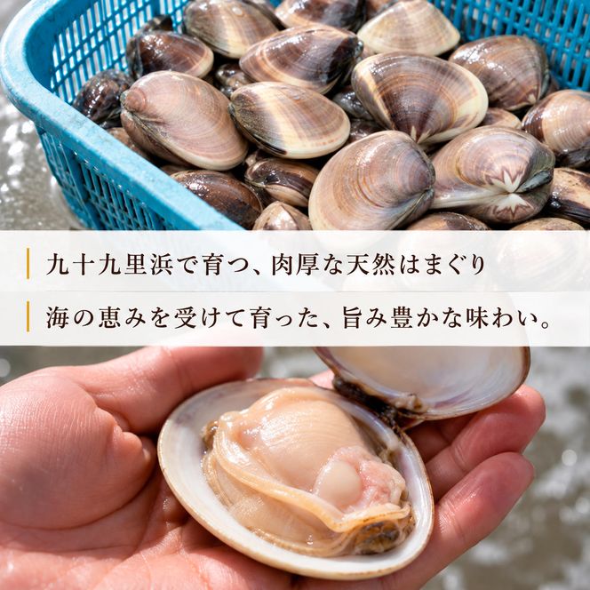はまぐり 千葉 九十九里産 天然はまぐり 2.5kg 貝 海鮮 海産物 海の幸 魚介 魚介類 水産 水産物 はまぐり鍋 バーベキュー BBQ お吸い物 国産 天然 ハマグリ 蛤 絶品九十九里の”味” 産地直送 冷蔵 冷蔵配送 千葉県 九十九里 九十九里町