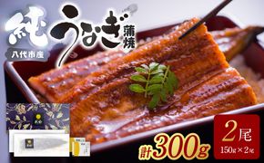 【先行予約】 うなぎ蒲焼2尾セット（150g×2尾）合計300g　たれ・山椒付き  鰻 うなぎ ウナギ 国産 冷凍 うな重 蒲焼 丑の日 鰻楽 熊本県 八代市 【2026年10月中旬より順次発送】