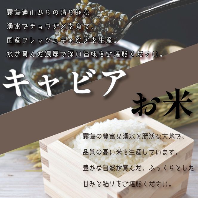 【定期便・全11回】日本一宮崎牛と小林市の魅力満載!!! 小林満足ワクワク定期便 30万円コース（国産 牛肉 国産牛 黒毛和牛 マンゴー お菓子 豚肉 鶏肉 キャビア 定期便）