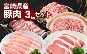 宮崎県産豚肉３kgセット K65_0010