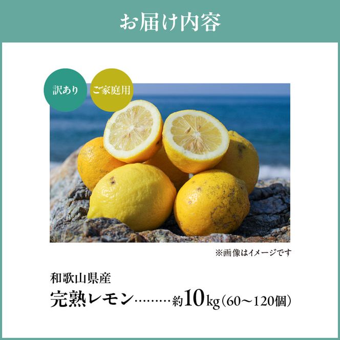 【2027年先行予約】【訳あり・ご家庭用】完熟 レモン 10kg 皮まで使用可能（栽培期間中農薬不使用）_EA6025n