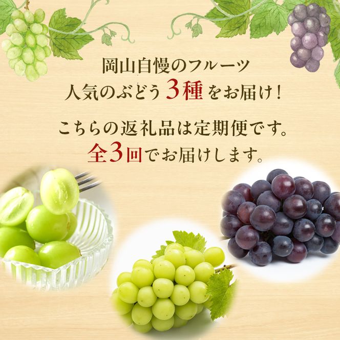 ぶどう 定期便 2026年 先行予約 晴れの国 岡山 の ぶどう定期便 3回コース 葡萄 ブドウ 岡山県産 国産 セット ギフト 旬のぶどう アレキサンドリア ニューピオーネ 強い甘み シャインマスカット 
