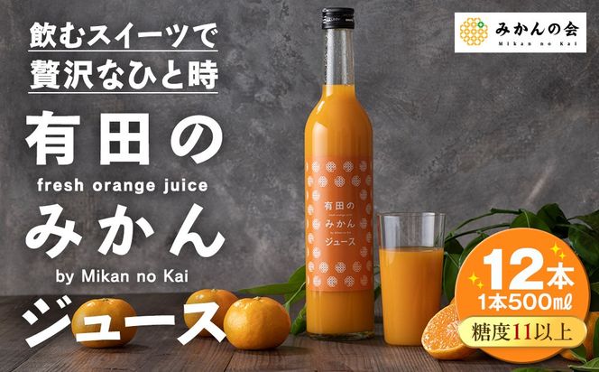 有田のみかんジュース 500ml×12本  和歌山県産 有田みかん使用 無添加 100％ ストレート AX157