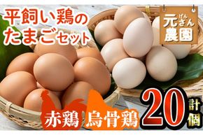 平飼い鶏のたまごセット (合計20個・烏骨鶏たまご10個・赤鶏たまご10個) 元さん農園 卵 玉子 卵かけご飯 玉子焼き 平飼い 鶏 鶏卵 養鶏場直送 朝採れ 新鮮 大分県 佐伯市 【GE004】【 (株)海九】