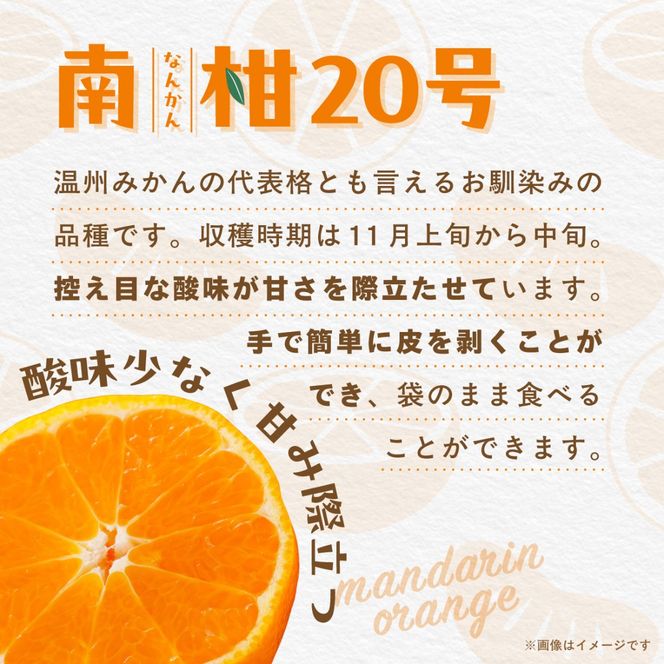 【先行受付】【数量限定】南柑20号（生果）3kg（2026年12月上旬頃より順次発送）IKTQ016