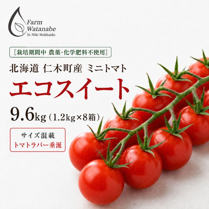 2027年発送 先行受付[栽培期間中 農薬・化学肥料不使用] 北海道 仁木町産 ミニトマト エコスイート 1.2kg×8箱 サイズ混載 トマト 野菜 [Farm Watanabe]