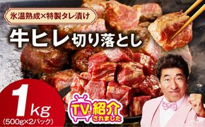 mrzZ050 【定期便】牛ヒレ肉 切り落とし 1kg×全2回【小分け 500g×2P 氷温熟成×特製ダレ サイズ不揃い やわらか ステーキ ひと口サイズ カット済み 2026年2月＆5月発送】