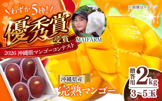 【先行予約】【優秀賞受賞】沖縄県産 完熟マンゴー 贈答用 2kg (3〜5玉) マンゴー 沖縄 果物 フルーツ ギフト 沖縄市 / MAIFARM[BCAN002]