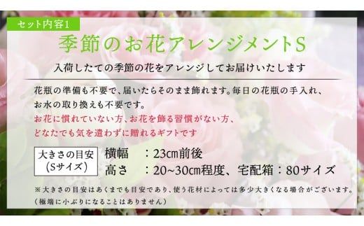 【 筑西市 ふるさと納税限定 コラボ 】 《 季節のお花アレンジメントS 》《 笑来餅 2個 セット（白2個） 》 アレンジメント 生花 ギフト プレゼント 誕生日 記念日 敬老 餅 もち もち米 [ZZ047ci]