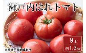 期間限定【産地直送】瀬戸内はれトマト（桃太郎トマト）9玉 約1.3kg 野菜 夏野菜 リコピン 岡山県産 サラダ 料理 緑黄色野菜 [№5735-1272]