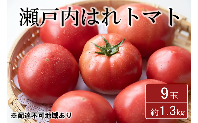 期間限定【産地直送】瀬戸内はれトマト（桃太郎トマト）9玉 約1.3kg 野菜 夏野菜 リコピン 岡山県産 サラダ 料理 緑黄色野菜 [№5735-1272]