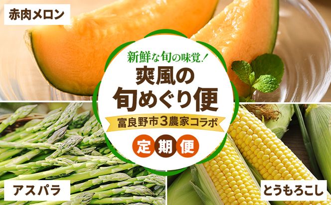 【2026年春～夏発送】[年3回定期便] 新鮮な旬の味覚 爽風の旬めぐり便 3農家コラボ 定期便 (アスパラガス 赤肉メロン とうもろこし 北海道 富良野市 野菜 果物 フルーツ 中山農園 NORTH FUN 富良野青果センター )