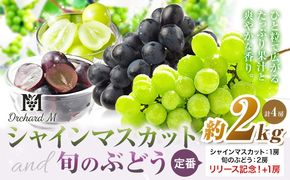 〈プラスワン企画実施中〉 シャインマスカット マスカット1房・旬の品種2房＋1 Orchard M《8月中旬-10月上旬頃出荷》熊本県 長洲町 シャインマスカット ぶどう マスカット 果物 フルーツ スイーツ デザート---sn_coms1b2_g810_r8_19000_2kg---