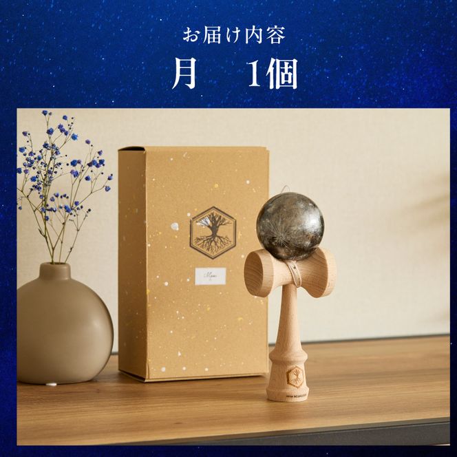 世界に一つだけのけん玉　「月」 シリアルナンバー付き アーティスト 手書き けん玉 惑星けん玉 専用箱付き 替え紐付き 一点物 アート インテリア 愛知県 小牧市 送料無料 ［219H01-05］ 