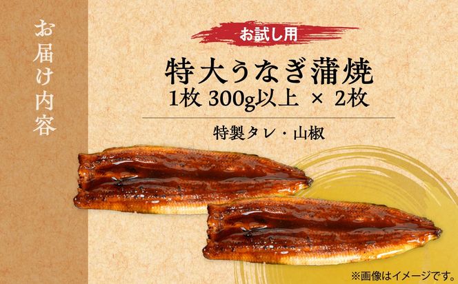 【お試し用】【特大うなぎ蒲焼】老舗寿司屋の職人仕込み 300g×2枚 BRTAD001-1