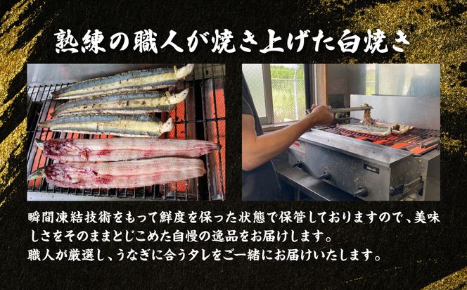 熊本県八代市産 天然うなぎ 白焼 (中) 2尾 合計300g前後 蒲焼のたれ付き 鰻 国産 蒲焼 ウナギ うなぎ 丑の日 冬が旬 冷凍 熊本県 八代市