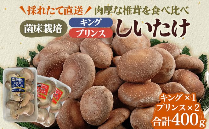 北海道産 厚岸町 上尾幌 菌床栽培 キングしいたけ 1パック プリンスしいたけ 2パック 