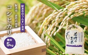 【射水市】【射水の美味しいお米】若竹のお米 R8年度産 コシヒカリ5kg【精米】 ※離島への配送不可 ※2026年10月上旬～10月下旬頃に順次発送予定