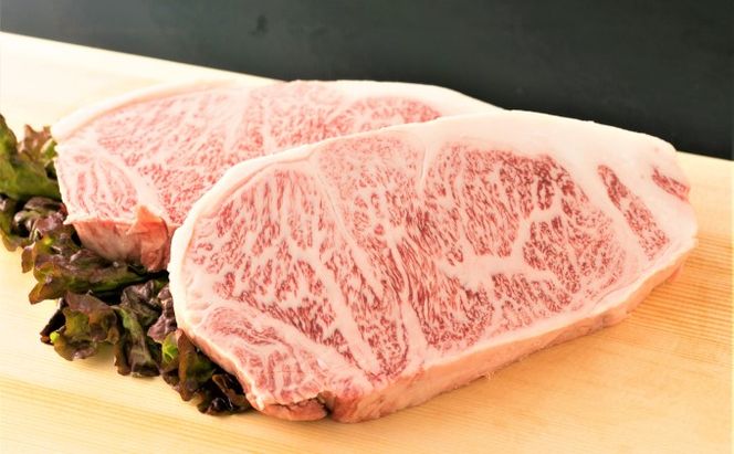 牛肉 サーロインステーキ 合計10kg 博多和牛 A4～A5 セット 250g×40枚 配送不可：離島 